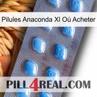 Pilules Anaconda Xl Où Acheter viagra3